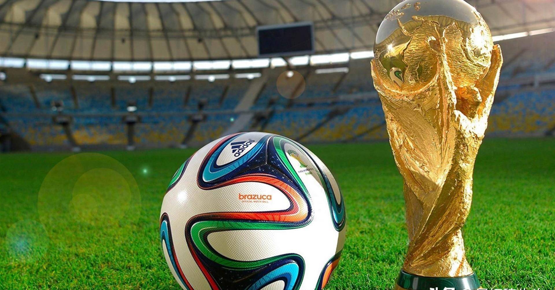 他不仅以出 他不仅以出