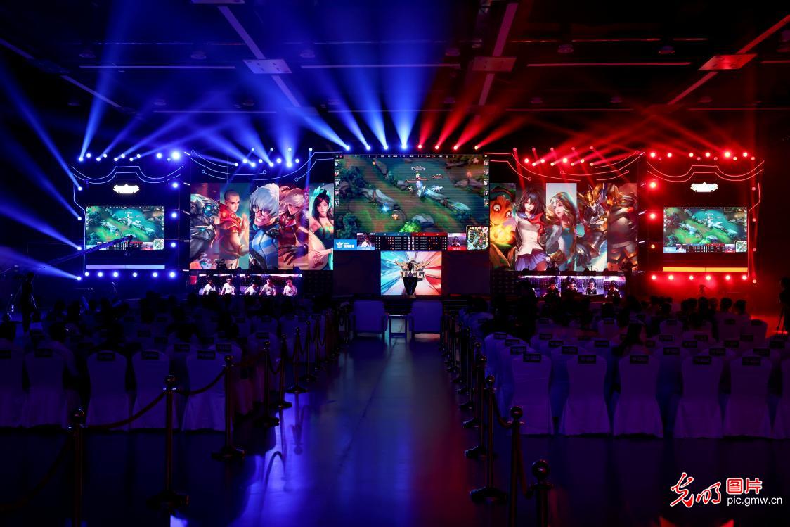 效力于费内 效力于费内